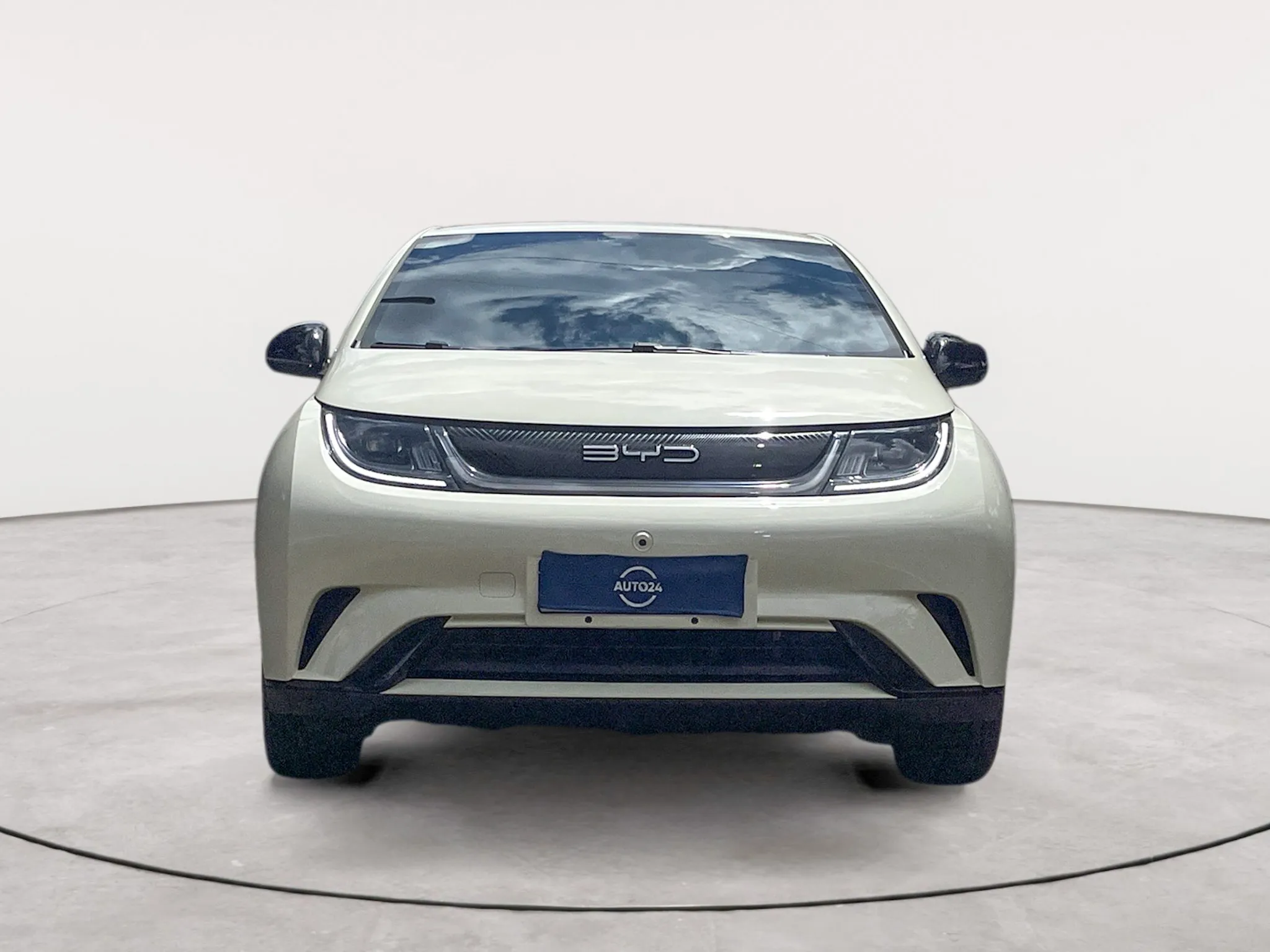 BYD Dolphin Hatchback 2023